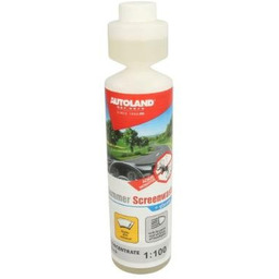 AUTOLAND 306010299 Płyn do spryskiwaczy Pojemność: 250ml, Butelka