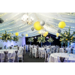 A Liittle Tree Mieszane papierowe lampiony, żółte, srebrne,