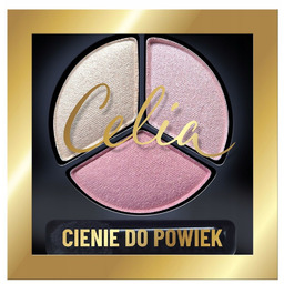 Cienie do powiek 251 4g