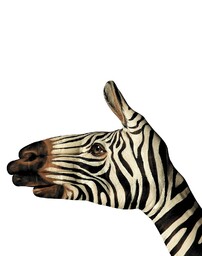 Extrapościel Koc narzuta dwustronna 160x200 z mikrofibry Zebra