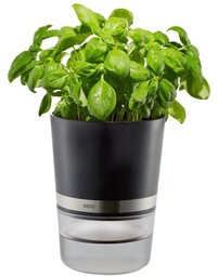 GEFU Doniczka na zioła BOTANICO G-18920