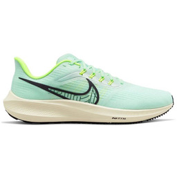 Air Zoom Pegasus 39