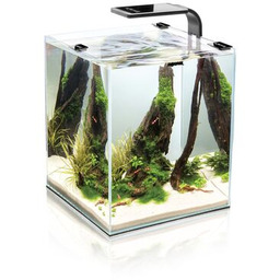 Zestaw akwariowy Shrimp Set Smart 2 10 czarny