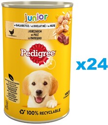 PEDIGREE Junior z Kurczakiem w Galaretce 24x400 g