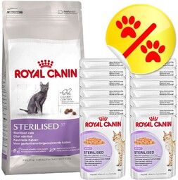 ROYAL CANIN Kitten 4kg