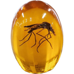 VEOJEIN Komar jurajski z bursztynu, trwały, zamknięty żywicą,