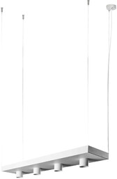 Lampa wisząca nowoczesna PLANT 9382 - Nowodvorski