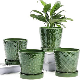 BUYMAX Doniczki do wnętrz 5-calowa ceramiczna doniczka