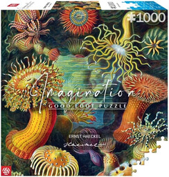 Puzzle 1000 Ernst Haeckel: Stworzenia morskie - Good