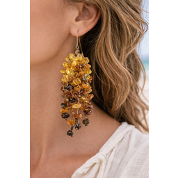 Pakamera GRADIENT Kolczyki z bursztynu bałtyckiego wiszące