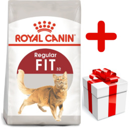 ROYAL CANIN FIT 32 10kg karma sucha