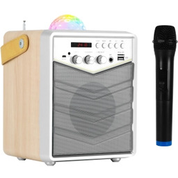 Musicmate MM-SK100 Apex Flex 50W Bluetooth Radio FM