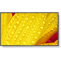 Sharp-nec Profesjonalny monitor NEC MultiSync ME501 (50") 400