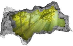 naklejka fototapeta 3D widok Las w słońcu