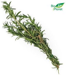 Rozmaryn świeży (około 50 g) (EKO)