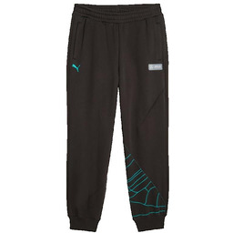 Spodnie dresowe Mercedes-AMG Petronas Puma