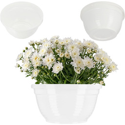 Misa cmentarna na kwiaty Verna 13 x 7