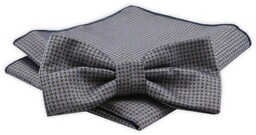 Zestaw: Mucha z Poszetką - Alties - Drobny