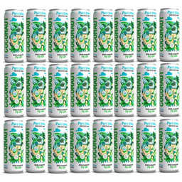 Naturalna Woda Kokosowa 24X320 Ml