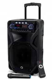 Głośnik Manta SPK5021PRO 80W Bluetooth czarny