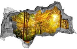 naklejka fototapeta 3D widok Las jesienią