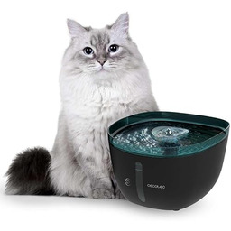 Cecotec automatyczne poidełka dla zwierząt fontanna dla zwierząt