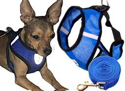 Ikonka Szelki dla psa bezuciskowe odblaskowe regulowane lekkie