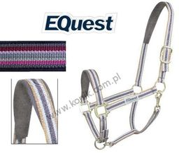 EQUEST Kantar DUAL PLUS pinky