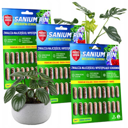 Sanium Pin 2w1 Nawóz Pałeczki Na przędziorki mszyce