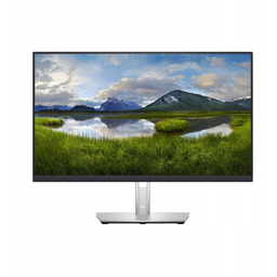 Monitor Dell Led 23.8 P2423DE