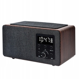 Radiobudzik Manta RDI910WC