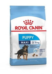 Royal Canin SHN Maxi Puppy - sucha karma