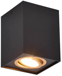 Metalowa lampa sufitowa BISCUIT 613000180 Trio kuchenna czarny