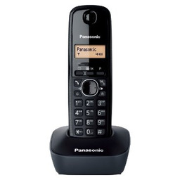 PANASONIC Telefon KX-TG1611PDH