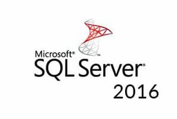 Microsoft SQL Server 2016 Standard + 20 User