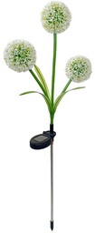 Lampa ogrodowa solarna wbijana 75cm czosnek ozdobny SUNARI