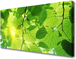 Obraz Canvas Liście Natura Roślina