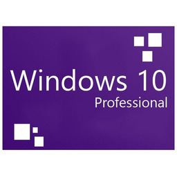 Windows 10 Professional OEM ESD e-Key