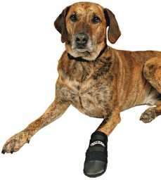 Ochronne Buty Neoprenowe Trixie (2szt) - XL (Labrador,