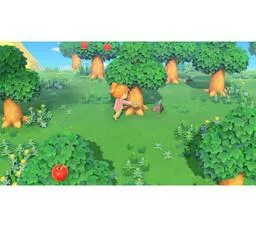 Animal Crossing New Horizons screen z gry 5