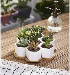 Niewielkie ceramiczne doniczki na sukulenty Niewielkie ceramiczne doniczki na sukulenty