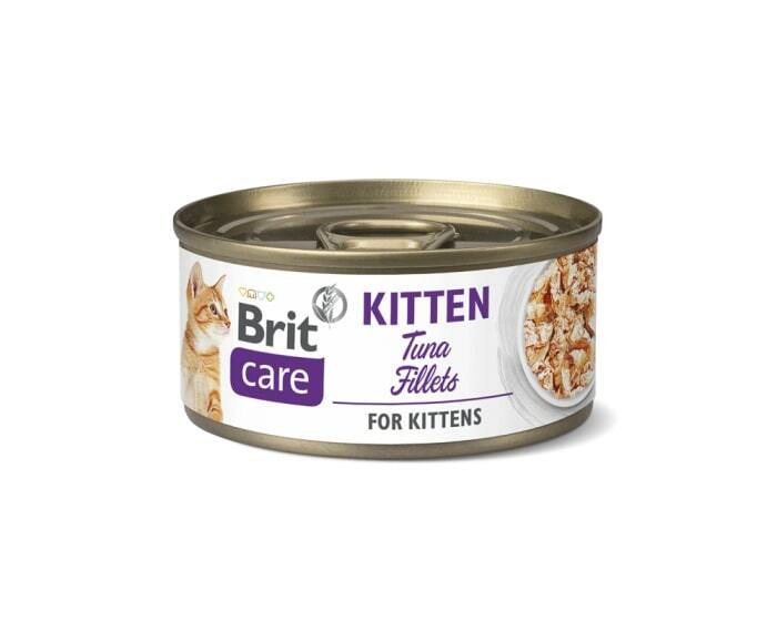 brit care kitten