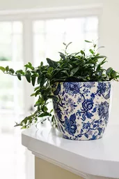 Ceramiczna doniczka Ivyline biała w niebieskie kwiaty prezentacja ustawienia na blacie Ceramiczna doniczka Ivyline biała w niebieskie kwiaty prezentacja ustawienia na blacie