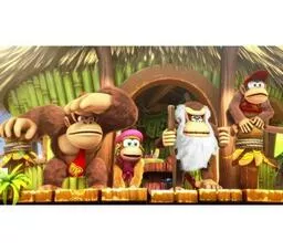 Donkey Kong Country Tropical Freeze screen z gry 1