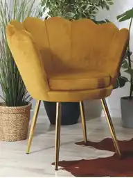 Musztardowy fotel muszla Musztardowy fotel muszla