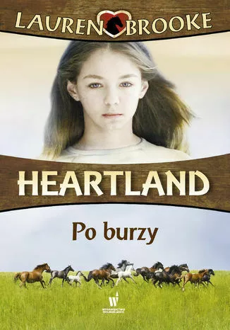 heartland tom 2 po burzy