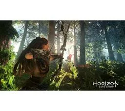 Horizon Zero Dawn screen z gry 1