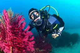 Maska do nurkowania dwuszybowa do scuba divingu Maska do nurkowania dwuszybowa do scuba divingu