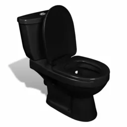 Czarna toaleta kompakt