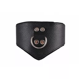 Skórzana obroża BDSM - Dominate Me Leather V-Collar (zapięta) Skórzana obroża BDSM - Dominate Me Leather V-Collar (zapięta)